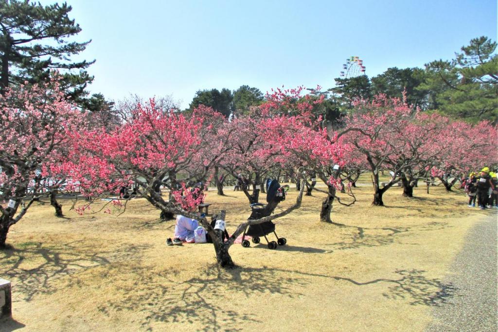 全景②