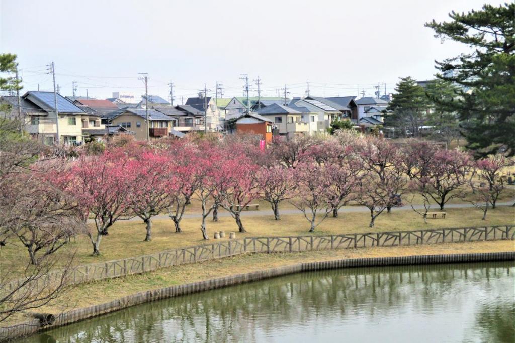 全景①