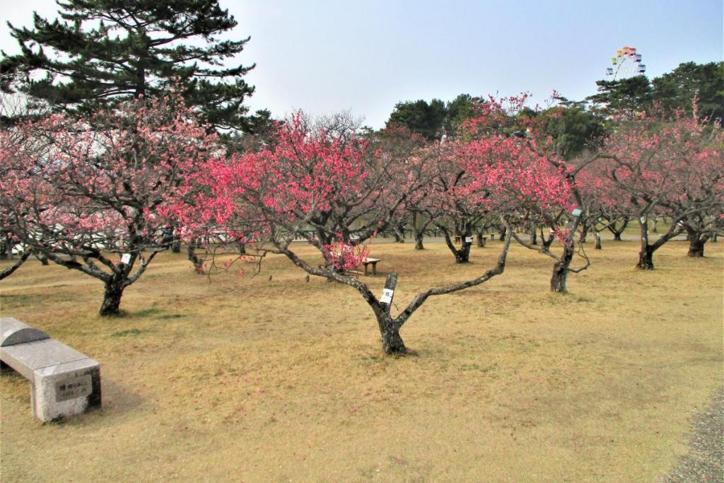全景②