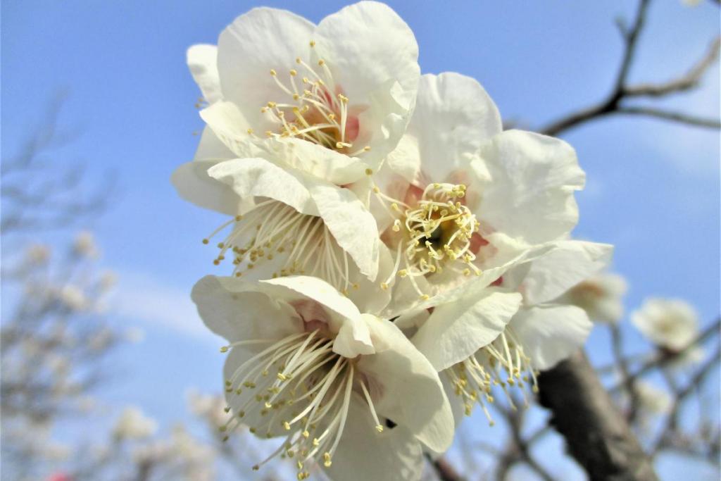 鶯宿アップ
