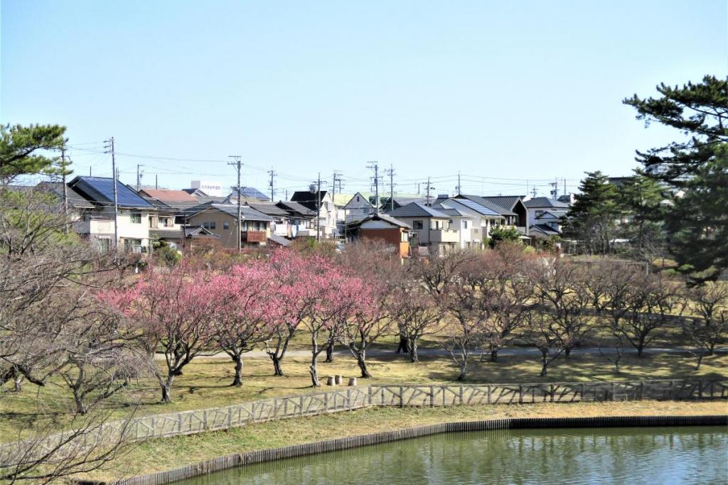 全景①