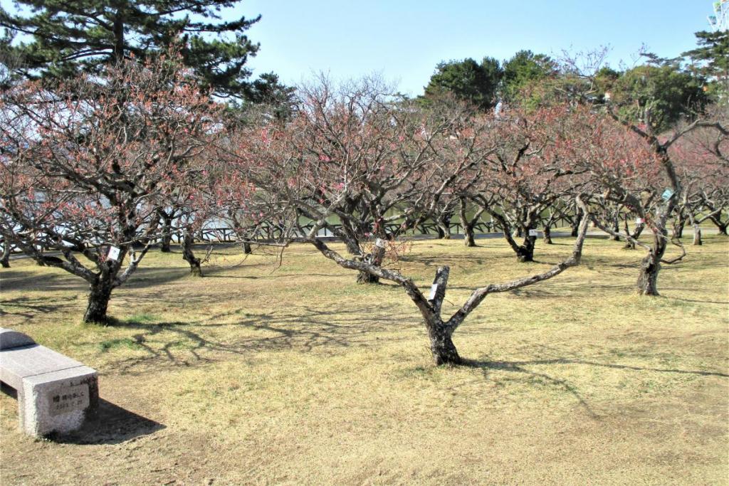 全景②