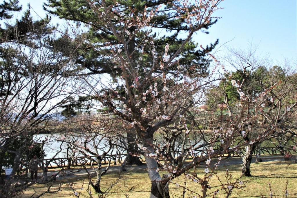 思いのまま全景