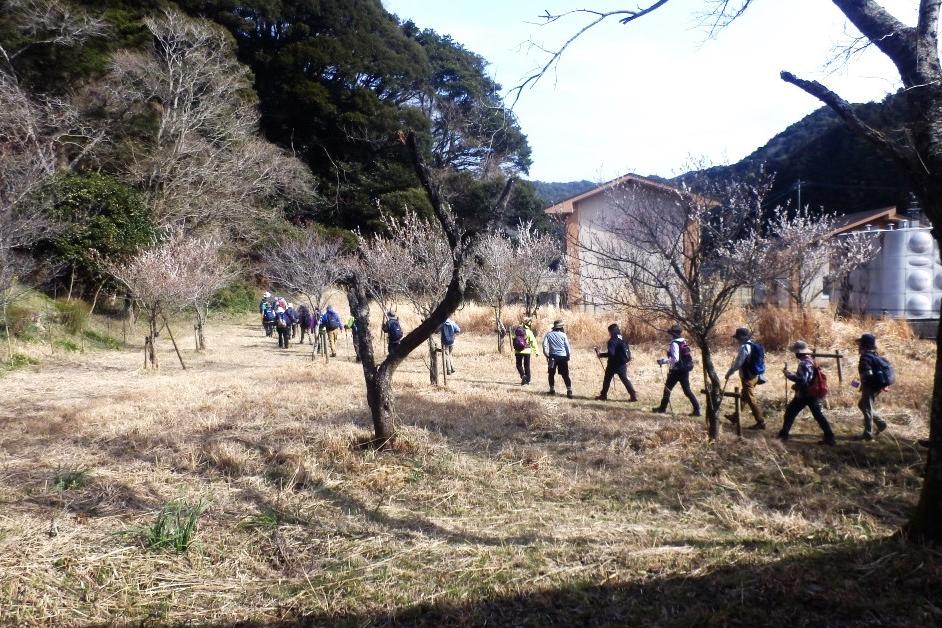 ホタル学校の裏から登山道入り口に向けて出発します。