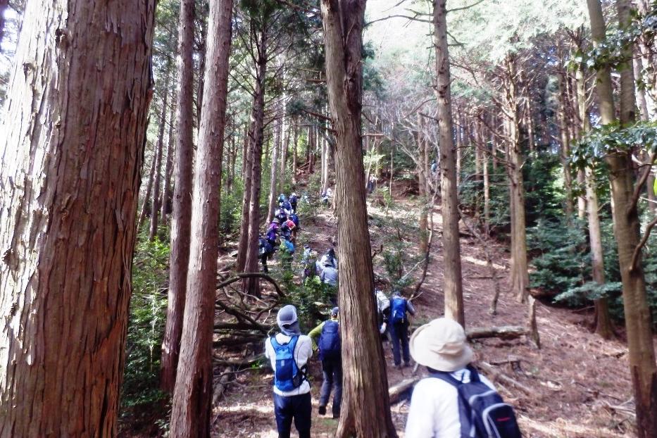 少し急な登りです。ゆっくりと進みます！