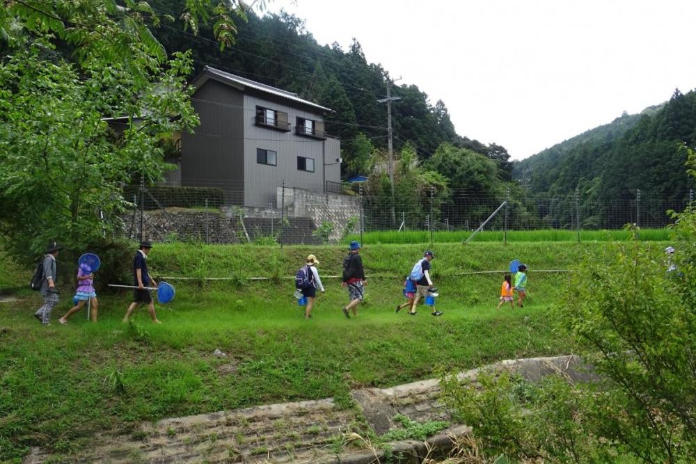 のどかな田園風景を歩きます