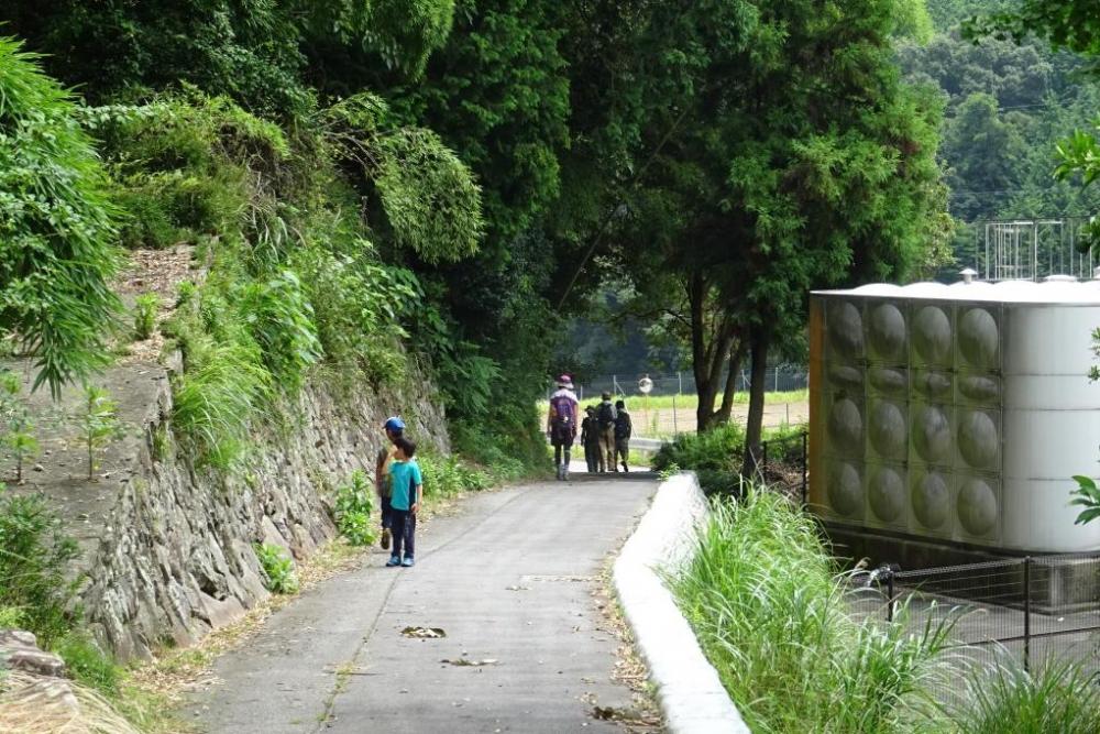 舗装道路に出ました。アスファルトは暑い！