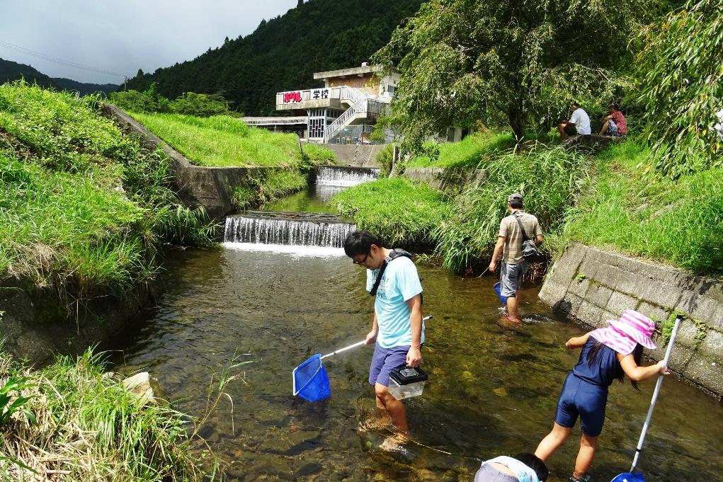 待っている間に川の生き物探し