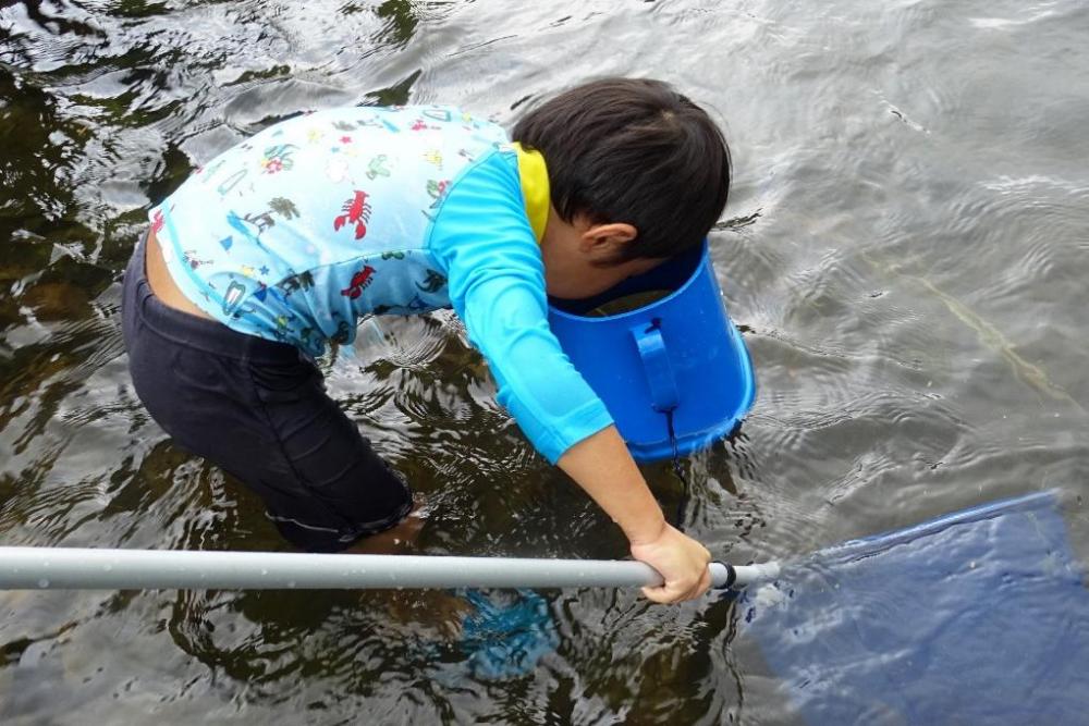 どんな生き物が見つかるかな？