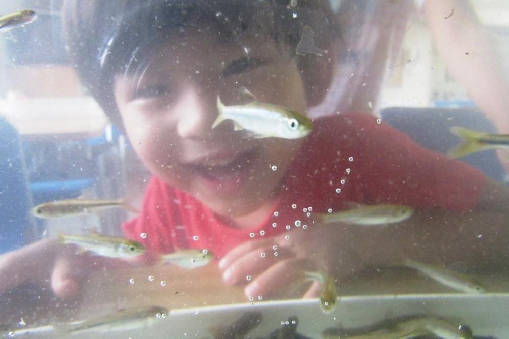 即席の鳥川水族館です！
