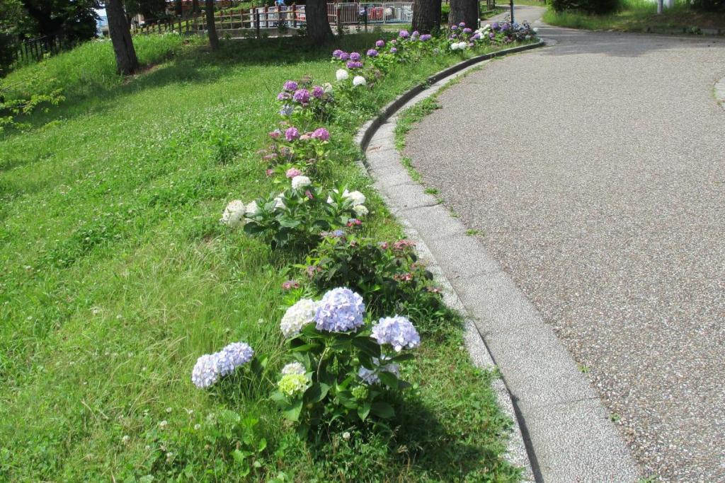 上り坂①