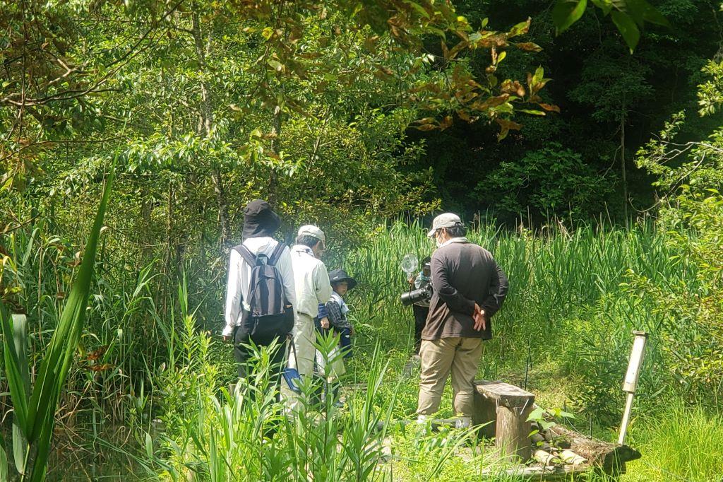 ビオトープには、偶然生き物の先生に出会ってラッキー