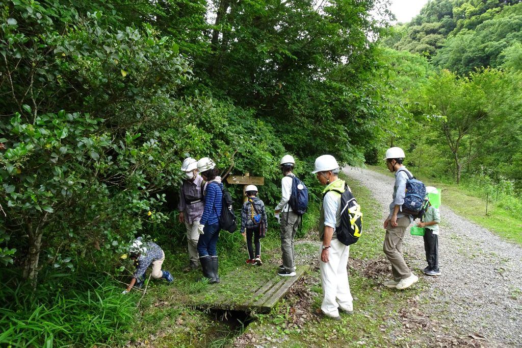 この班はE路線から。早速何か発見！
