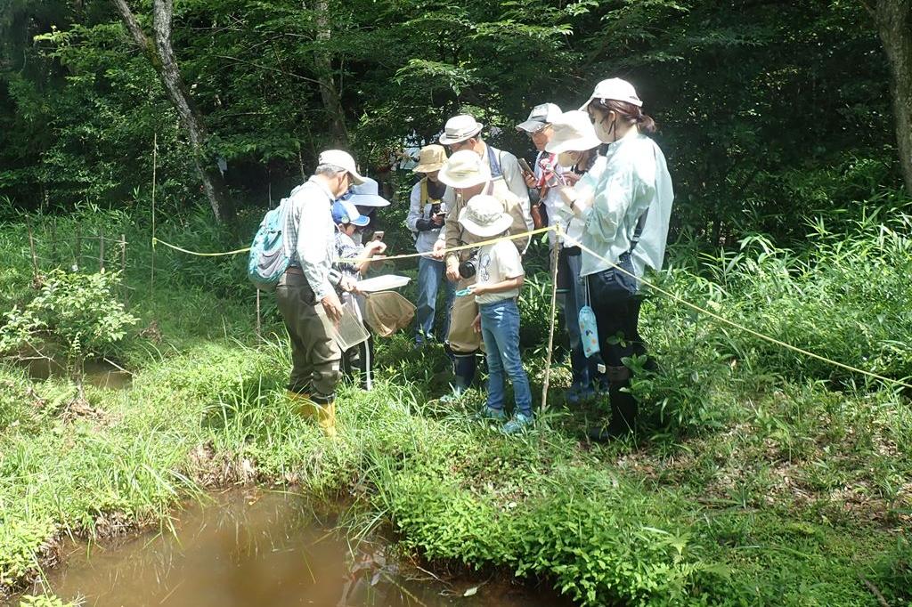 鈴木講師による水生生物の紹介