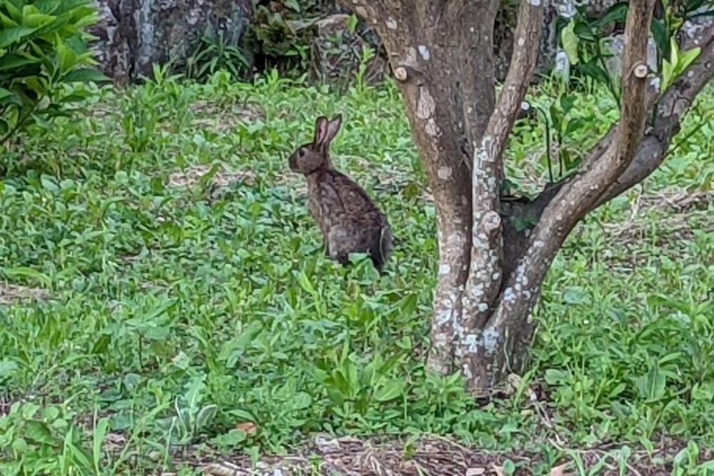 警戒は怠りません