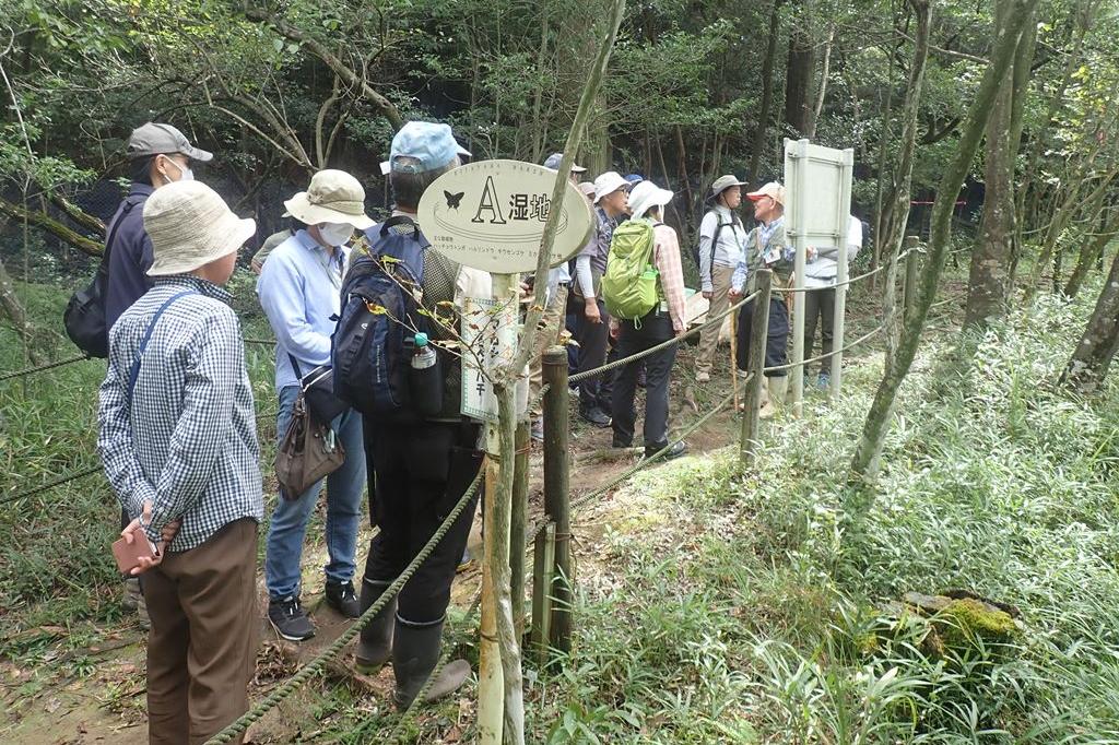 北山湿地内で最も大きくメインとなるA湿地