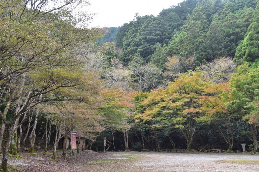 花の木キャンプ場