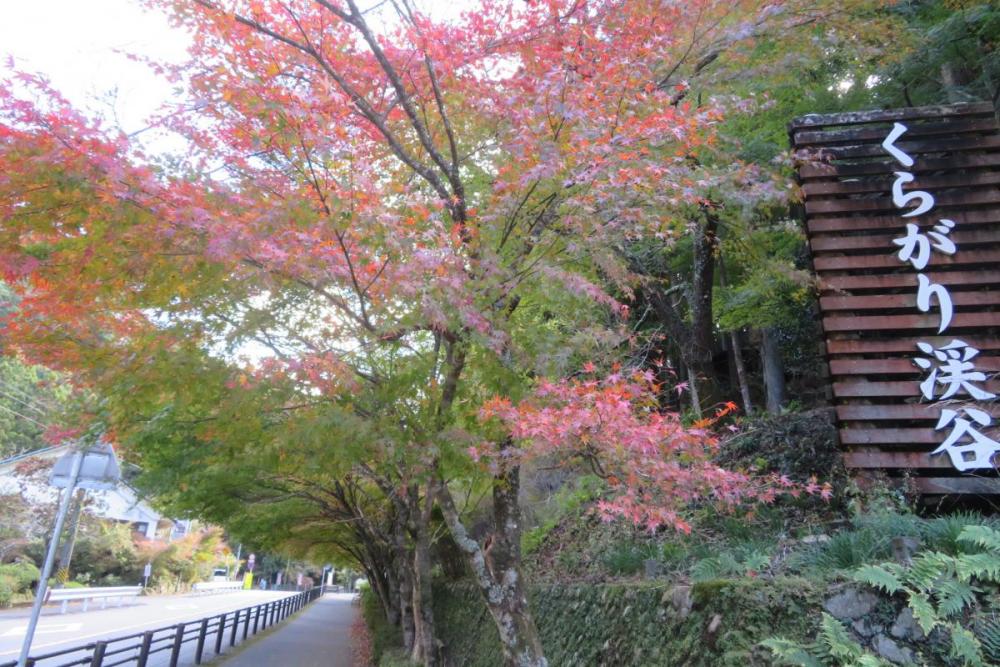 登山口