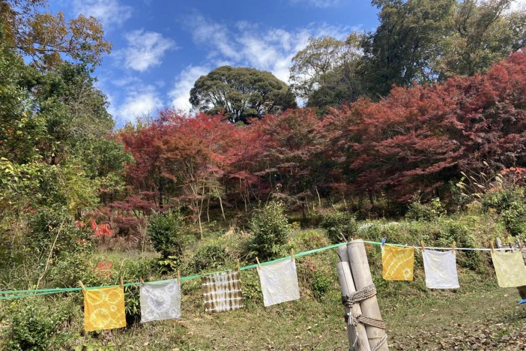 紅葉の前で乾かします。いい天気！