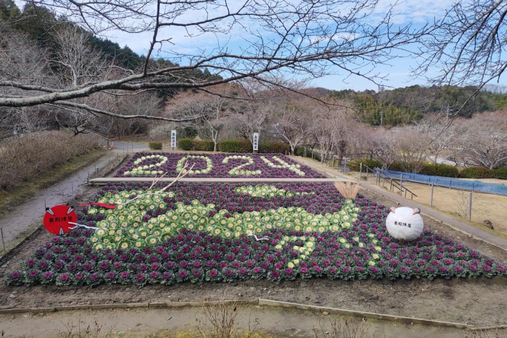 上から見ると綺麗です