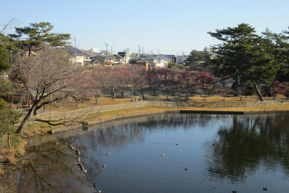 全景①