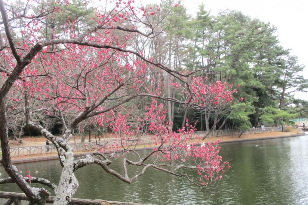 獅子頭全景