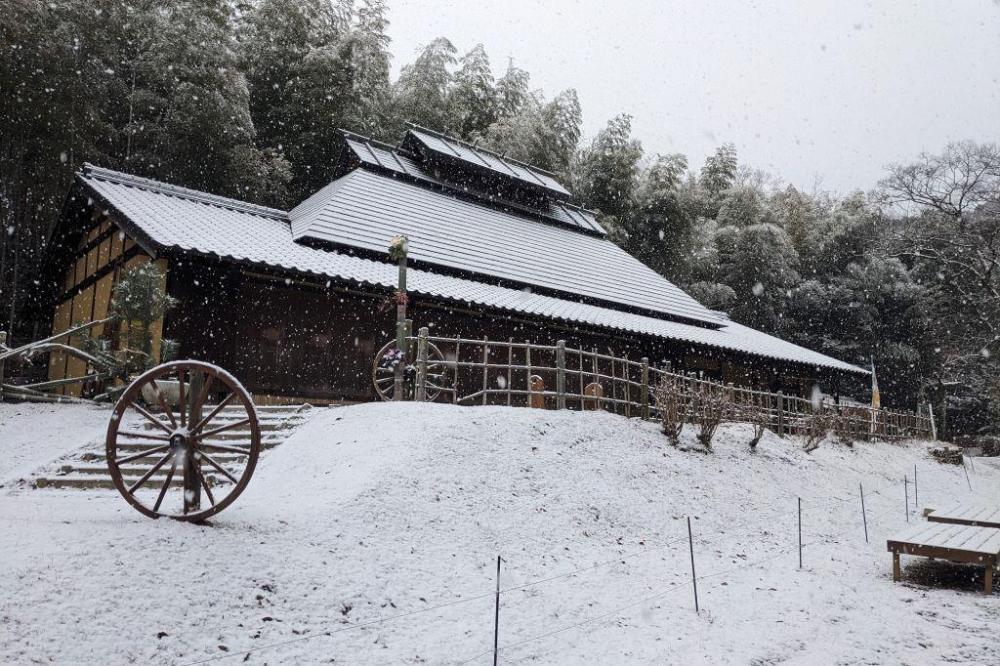 今シーズン初めての積雪