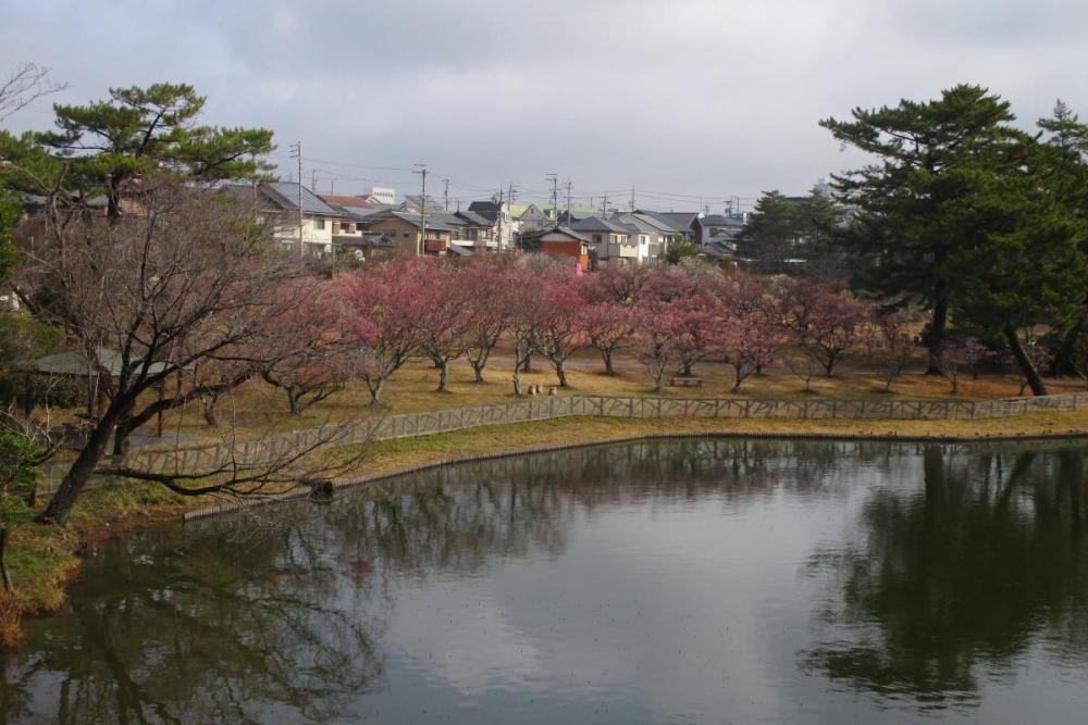 全景①