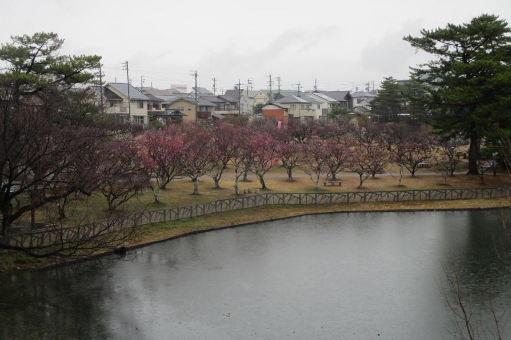 全景①