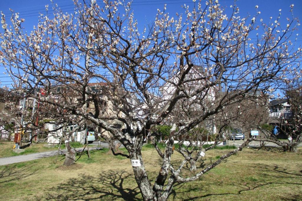 鶯宿全景