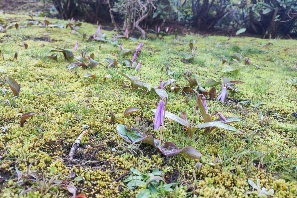 朝の様子です