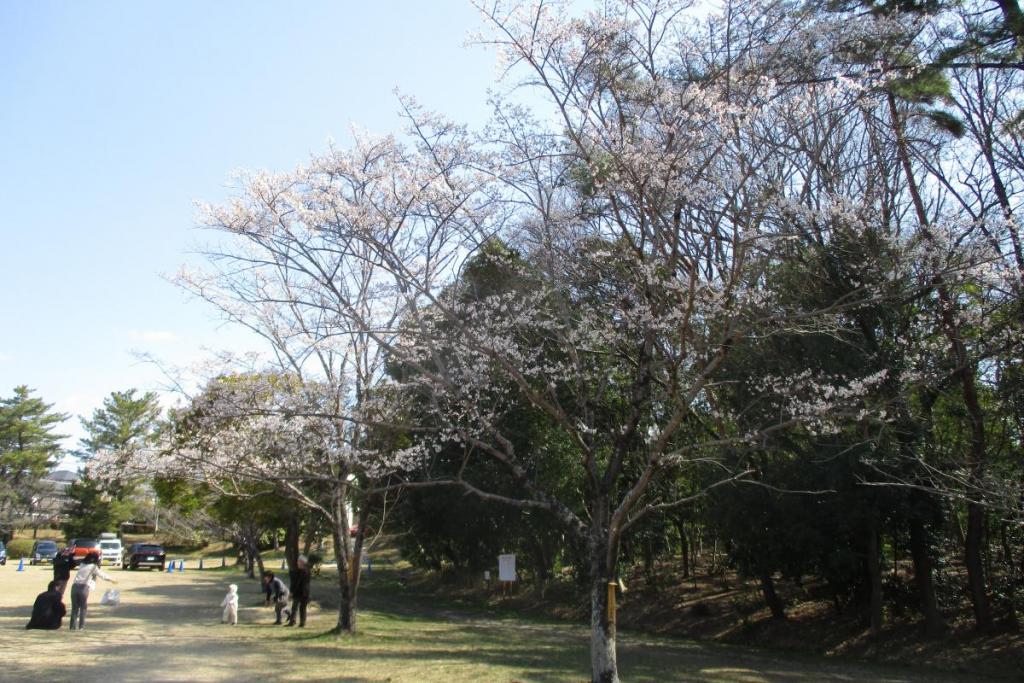 全景