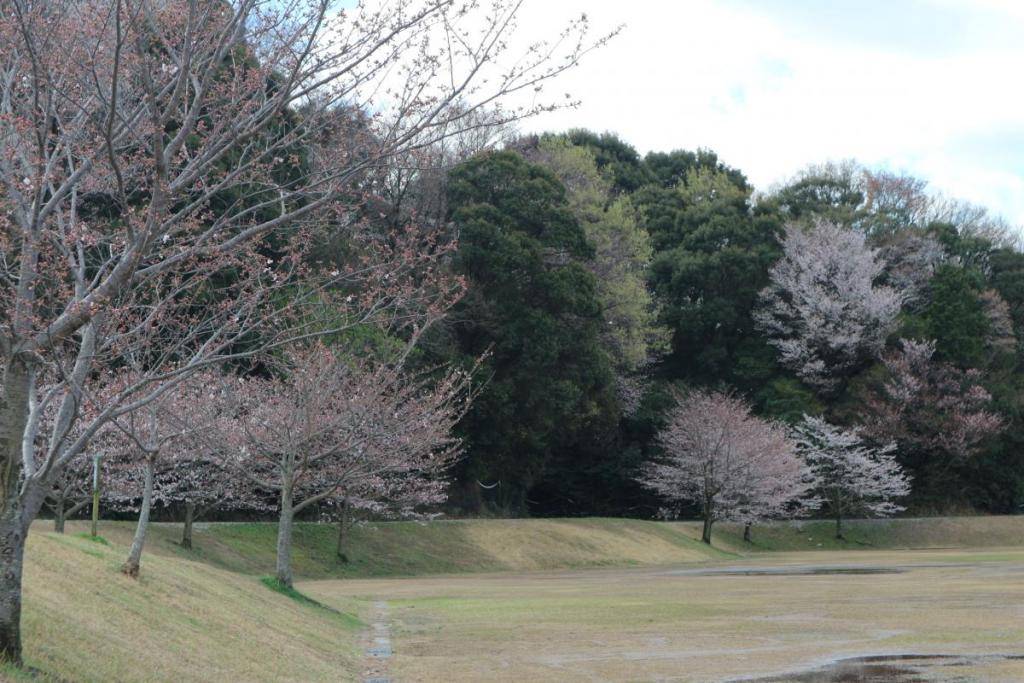 多目的広場