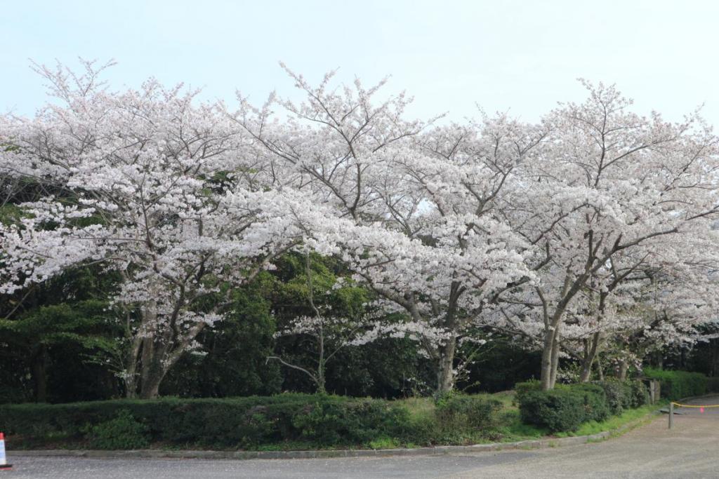 野球場周辺