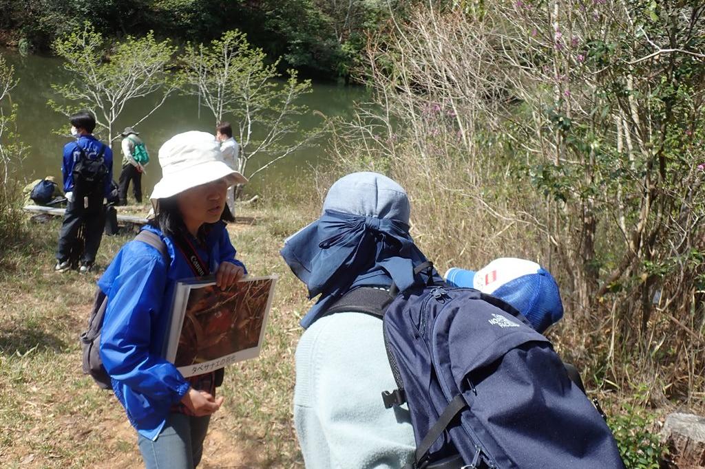 やなが沢池では、タベサナエ羽化を観察してみよう