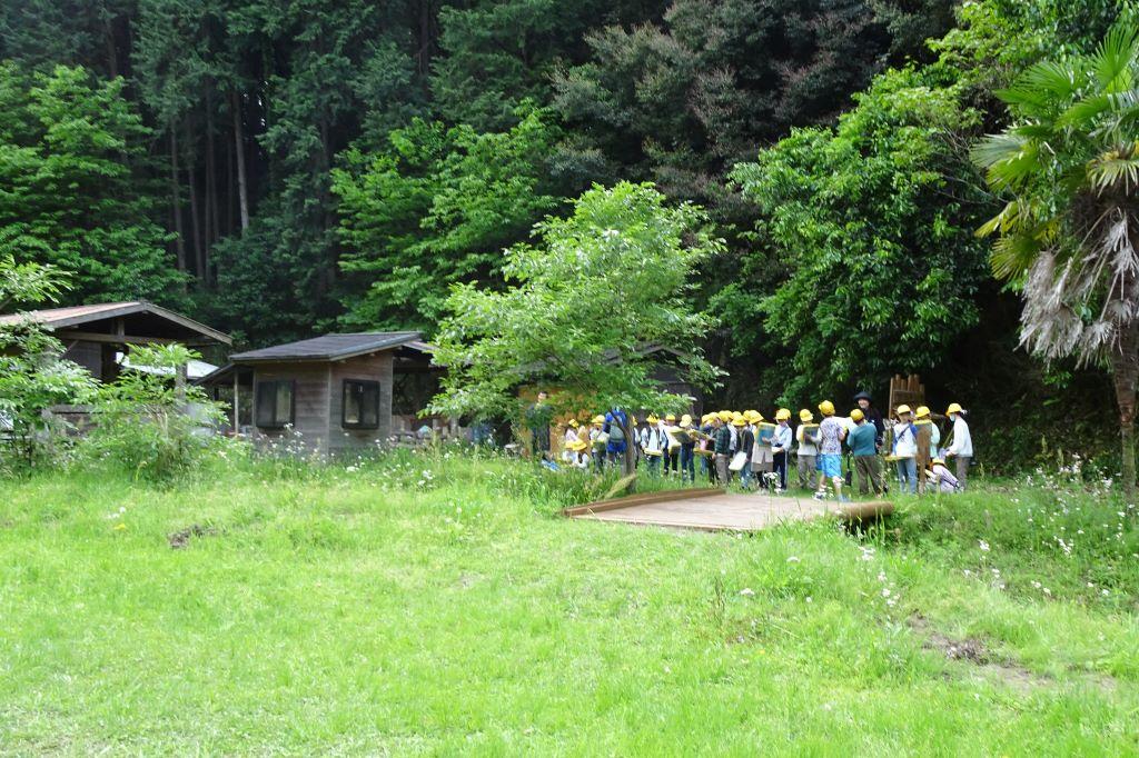 さあ、森に入っていきます。