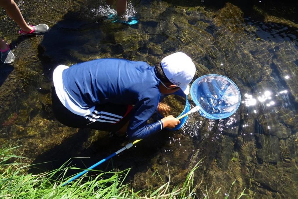 どんな魚が見つかるかな？