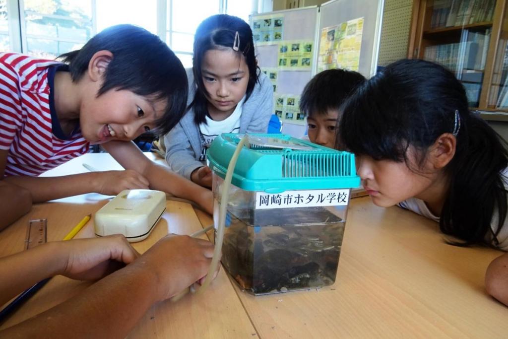 男川の生き物とはどんな違いがあるでしょうか？