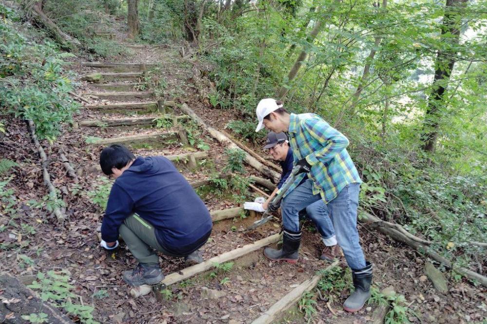 横木と杭の交換です