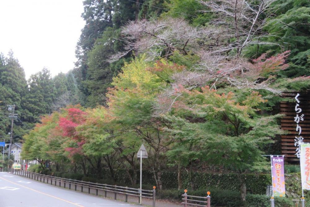 第1駐車場から登山口へ