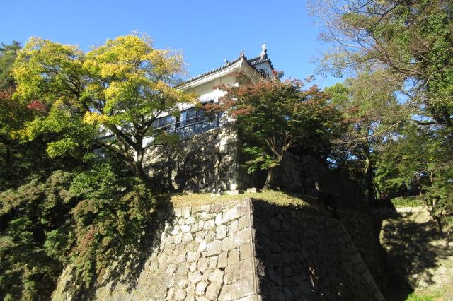 巽閣付近のイチョウはまだ緑が目立ちます。