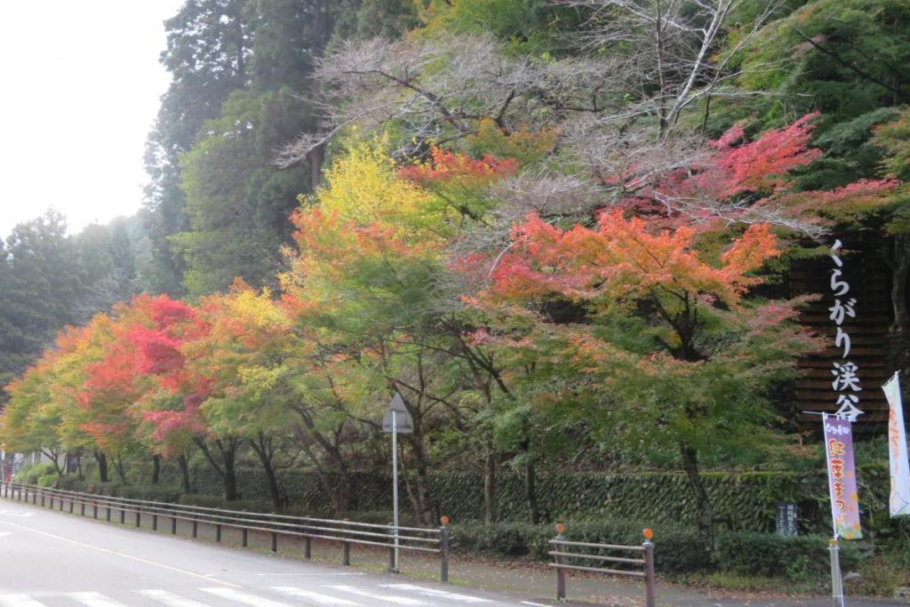 第1駐車場から登山口へ