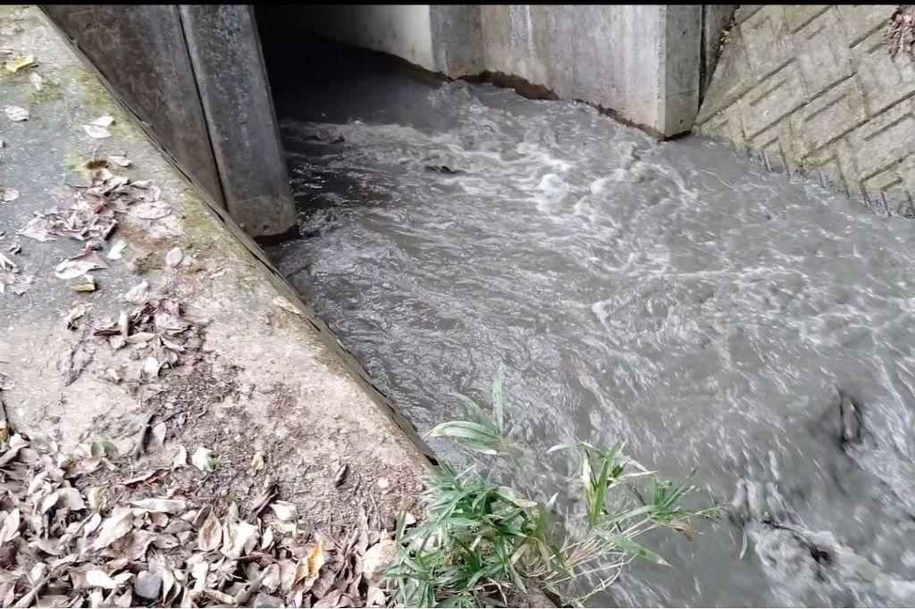 こんな感じで用水路に放水されました