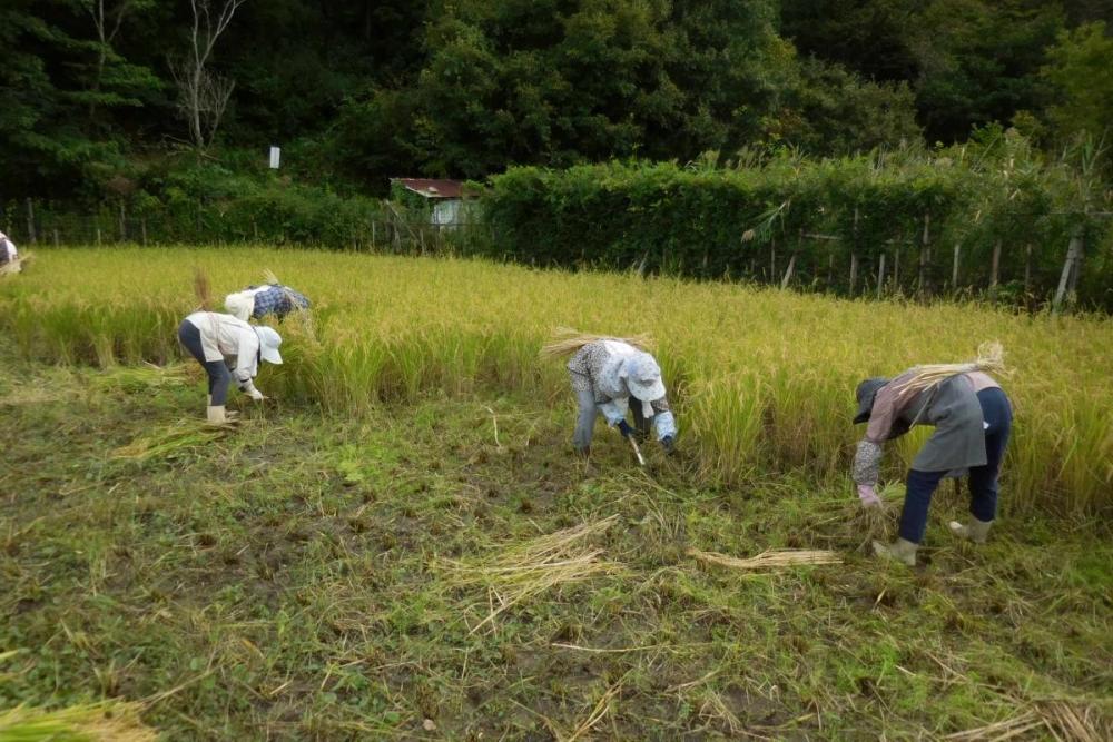 機械がなくても全然平気そう