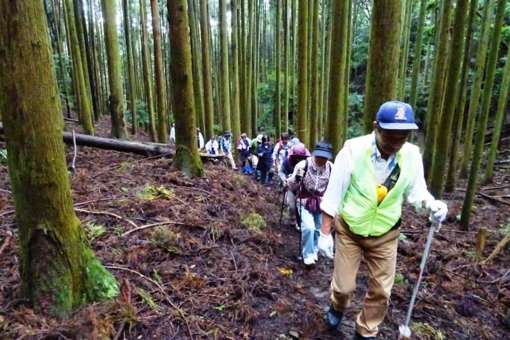 愛宕山・京ヶ峯コースの登り