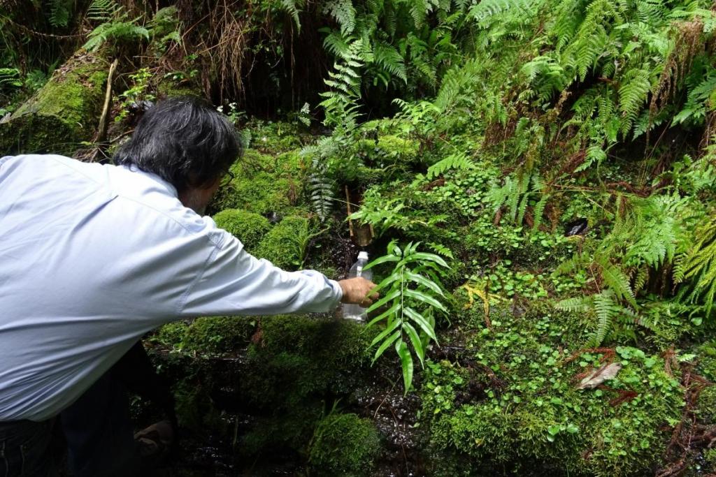 幻の石清水にも立ち寄ります