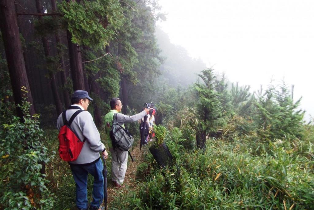 沢山からの眺望も真っ白です