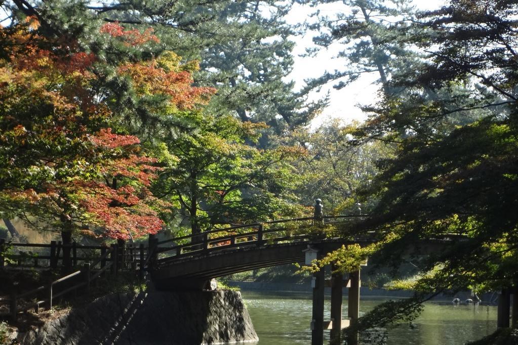 やはり池の近くから紅くなってきますね。