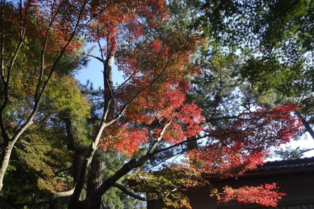 緑から赤へのグラデーション。