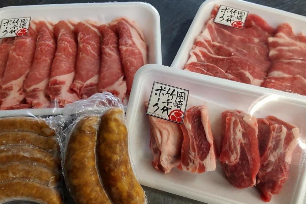岡崎竹千代ポーク焼肉セット